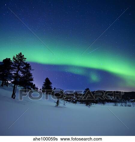 Stock Photograph - Aurora Borealis and a shooting star in the woods of Troms County, Norway.. Fotosearch