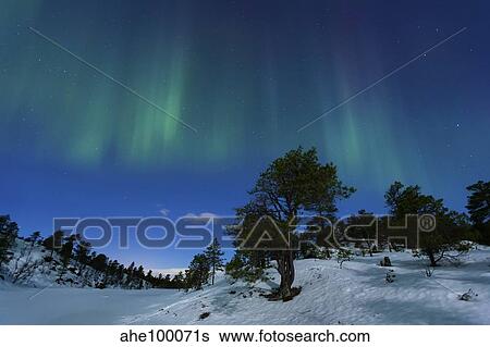 Aurora Borealis, Forramarka, Troms, Norway. View Large Photo Image Stock Photograph - Aurora Borealis, Forramarka, Troms, Norway.. Fotosearch