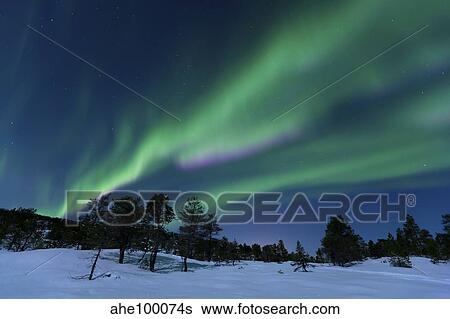 Stock Photograph - Aurora Borealis, Forramarka, Troms, Norway.. Fotosearch