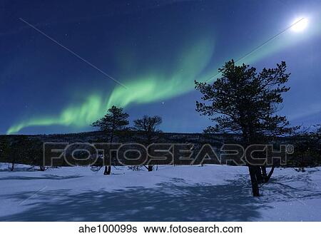 Aurora Borealis, Forramarka, Troms, Norway. View Large Photo Image Stock Photograph - Aurora Borealis, Forramarka, Troms, Norway.. Fotosearch