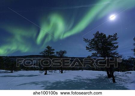 Aurora Borealis, Forramarka, Troms, Norway. View Large Photo Image Stock Photograph - Aurora Borealis, Forramarka, Troms, Norway.. Fotosearch