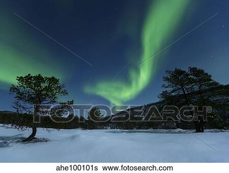 Aurora Borealis, Forramarka, Troms, Norway. View Large Photo Image Stock Photograph - Aurora Borealis, Forramarka, Troms, Norway.. Fotosearch
