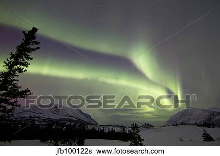 Aurora borealis over Carcross Desert, Carcross, Yukon, Canada. View Large Photo Image Stock Photograph - Aurora borealis over Carcross Desert, Carcross, Yukon, Canada.. Fotosearch