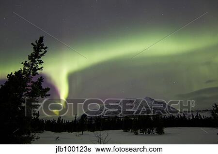 Aurora borealis over Carcross Desert, Carcross, Yukon, Canada. View Large Photo Image Stock Photograph - Aurora borealis over Carcross Desert, Carcross, Yukon, Canada.. Fotosearch