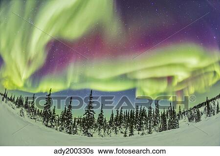 Aurora borealis over Churchill, Manitoba, Canada. View Large Photo Image Stock Photograph - Aurora borealis over Churchill, Manitoba, Canada.. Fotosearch