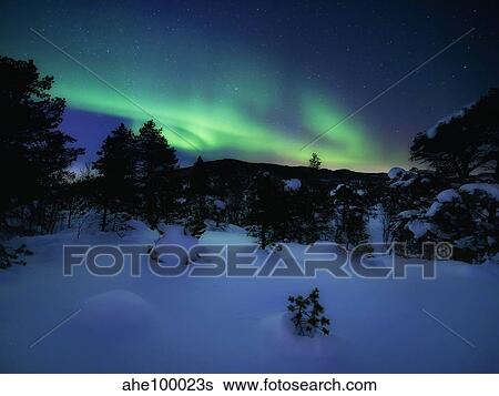 Stock Photograph - Aurora Borealis over Forramarka Woods in Tennevik, Troms County, Norway.. Fotosearch