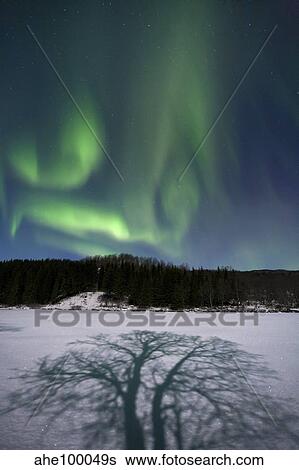 Aurora Borealis over Sandvannet Lake in Troms County, Norway. View Large Photo Image Stock Photograph - Aurora Borealis over Sandvannet Lake in Troms County, Norway.. Fotosearch