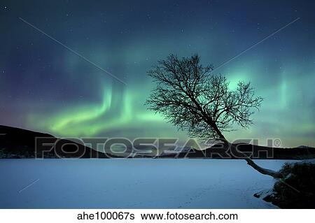 Aurora Borealis over Sandvannet Lake in Troms County, Norway. View Large Photo Image Stock Photograph - Aurora Borealis over Sandvannet Lake in Troms County, Norway.. Fotosearch
