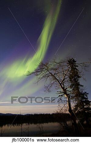 Aurora borealis over the Yukon River, Whitehorse, Canada. View Large Photo Image Stock Photograph - Aurora borealis over the Yukon River, Whitehorse, Canada.. Fotosearch