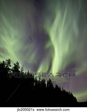 Stock Photograph - Aurora borealis over trees, Yukon, Canada.. Fotosearch