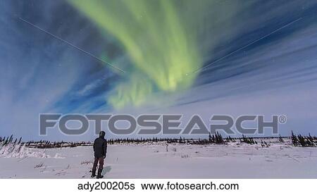 Aurora borealis under bright moonlight in Churchill, Manitoba, Canada. View Large Photo Image Stock Photograph - Aurora borealis under bright moonlight in Churchill, Manitoba, Canada.. Fotosearch