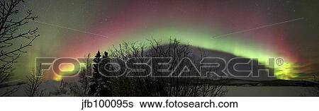 Aurora borealis with trees and, Twin lakes, Yukon, Canada. View Large Photo Image Stock Photograph - Aurora borealis with trees and, Twin lakes, Yukon, Canada.. Fotosearch