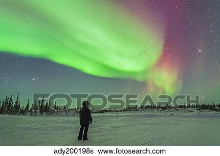 Aurora borealis with Vega and Arcturus stars over Churchill, Manitoba, Canada. View Large Photo Image Stock Photograph - Aurora borealis with Vega and Arcturus stars over Churchill, Manitoba, Canada.. Fotosearch
