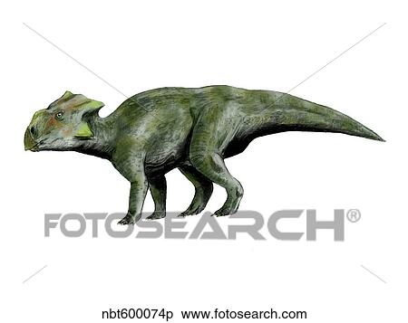 Bagaceratops dinosaur. View Large Illustration Stock Illustration - Bagaceratops dinosaur.. Fotosearch