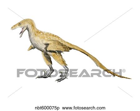 Bambiraptor dinosaur. View Large Illustration Stock Illustration - Bambiraptor dinosaur.. Fotosearch