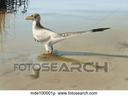 Stock Illustration - Bambiraptor feinbergi standing in shallow water.. Fotosearch