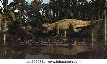 Batrachotomus confronts a Nothosaurus in the Triassic period. View Large Illustration Stock Illustration - Batrachotomus confronts a Nothosaurus in the Triassic period.. Fotosearch