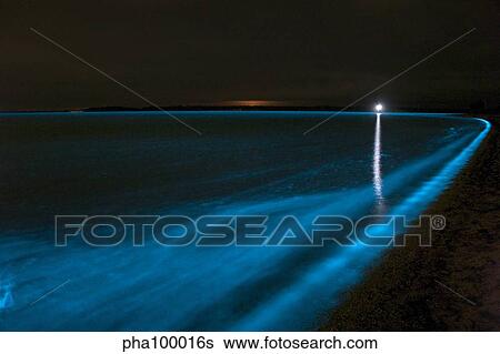 Bioluminescence in waves in the Gippsland Lakes, Victoria, Australia. View Large Photo Image Stock Photograph - Bioluminescence in waves in the Gippsland Lakes, Victoria, Australia.. Fotosearch