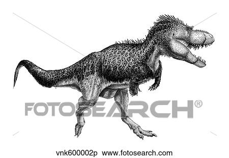Black ink drawing of Albertosaurus sarcophagus. View Large Illustration Stock Illustration - Black ink drawing of Albertosaurus sarcophagus.. Fotosearch