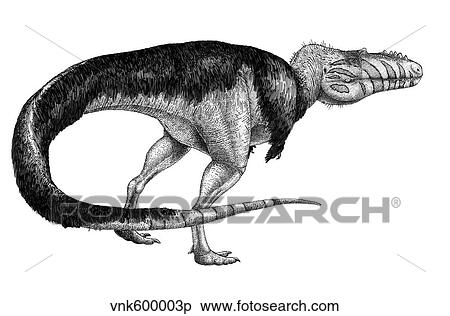 Black ink drawing of Alioramus remotus. View Large Illustration Stock Illustration - Black ink drawing of Alioramus remotus.. Fotosearch