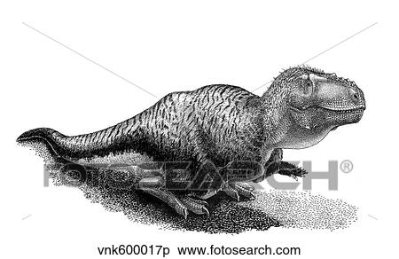 Black ink drawing of Tarbosaurus bataar. View Large Illustration Stock Illustration - Black ink drawing of Tarbosaurus bataar.. Fotosearch