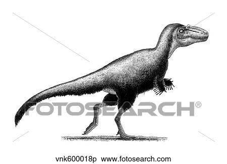 Black ink drawing of Teratophoneus curriei. View Large Illustration Stock Illustration - Black ink drawing of Teratophoneus curriei.. Fotosearch
