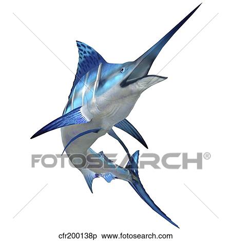 Blue Marlin View Large Illustration Stock Illustration - Blue Marlin. Fotosearch