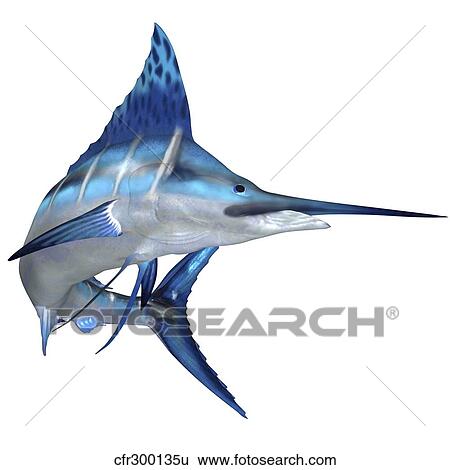 Stock Illustration - Blue Marlin. Fotosearch