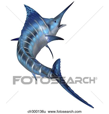 Stock Illustration - Blue Marlin. Fotosearch
