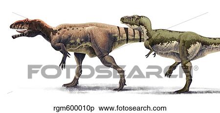 Body size comparison between Giganotosaurus carolinii and Tyrannosaurus rex. View Large Illustration Stock Illustration - Body size comparison between Giganotosaurus carolinii and Tyrannosaurus rex.. Fotosearch