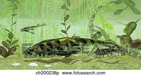 Stock Illustration - Bothriolepis, a freshwater bottom feeder from the Devonian Period.. Fotosearch