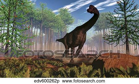Brachiosaurus dinosaur amongst an Araucaria forest. View Large Illustration Stock Illustration - Brachiosaurus dinosaur amongst an Araucaria forest.. Fotosearch