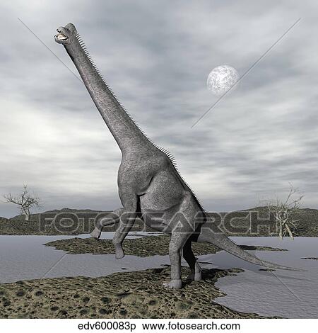 Brachiosaurus dinosaur backdropped by a full moon. View Large Illustration Stock Illustration - Brachiosaurus dinosaur backdropped by a full moon.. Fotosearch