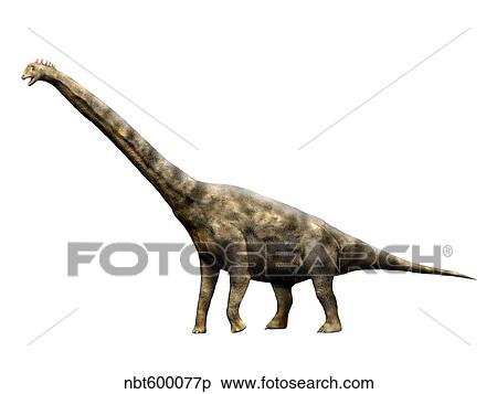 Stock Illustration - Brachiosaurus dinosaur.. Fotosearch