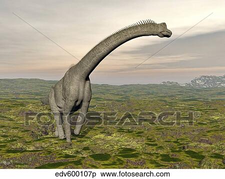 Brachiosaurus dinosaur walking in grassy landscape. View Large Illustration Stock Illustration - Brachiosaurus dinosaur walking in grassy landscape.. Fotosearch