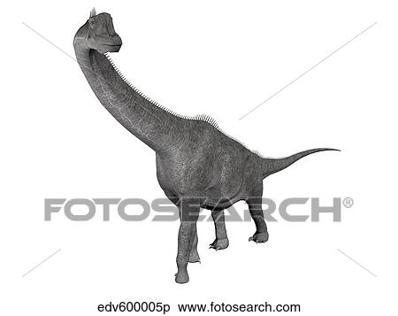 Stock Illustration - Brachiosaurus dinosaur, white background.. Fotosearch