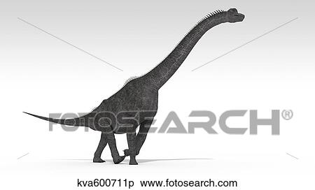 Stock Illustration - Brachiosaurus dinosaur, white background.. Fotosearch