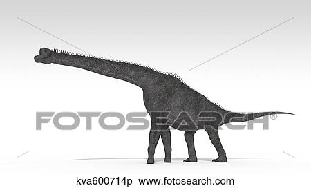 Stock Illustration - Brachiosaurus dinosaur, white background.. Fotosearch