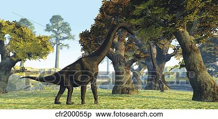 Brachiosaurus dinosaurs walk among large trees in the prehistoric era. View Large Illustration Stock Illustration - Brachiosaurus dinosaurs walk among large trees in the prehistoric era.. Fotosearch