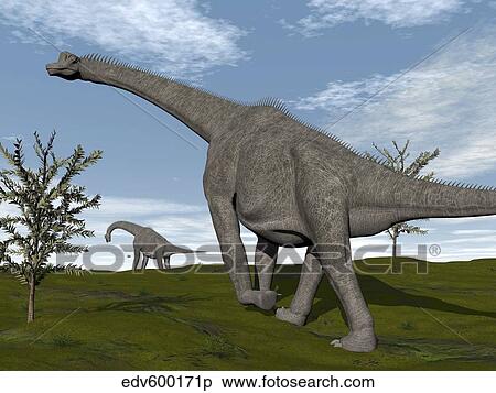 Brachiosaurus dinosaurs walking in an open field. View Large Illustration Stock Illustration - Brachiosaurus dinosaurs walking in an open field.. Fotosearch