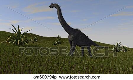 Brachiosaurus grazing in a grassy field. View Large Illustration Stock Illustration - Brachiosaurus grazing in a grassy field.. Fotosearch