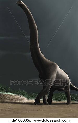 Stock Illustration - Brachiosaurus in a prehistoric landscape.. Fotosearch
