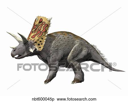 Bravoceratops polyphemus, Late Cretaceous of Texas. View Large Illustration Stock Illustration - Bravoceratops polyphemus, Late Cretaceous of Texas.. Fotosearch