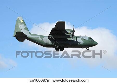 Brazilian Air Force C-130 Hercules prepares for landing. View Large Photo Image Picture - Brazilian Air Force C-130 Hercules prepares for landing.. Fotosearch
