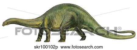 Brontosaurus, a prehistoric era dinosaur. View Large Illustration Stock Illustration - Brontosaurus, a prehistoric era dinosaur.. Fotosearch
