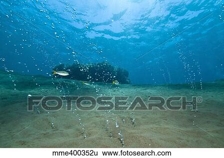 Stock Photograph - Bubbles from volcanic activity streaming out of black sand, Komodo, Indonesia.. Fotosearch