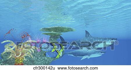 Stock Illustration - Butterflyfish swim toward the shelter of a reef to hide from two Great White Sharks.. Fotosearch