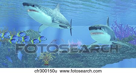 Stock Illustration - Butterflyfish swimming away from two Great White Sharks.. Fotosearch