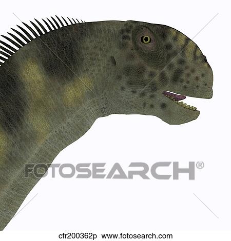 Camarasaurus dinosaur head. View Large Illustration Stock Illustration - Camarasaurus dinosaur head.. Fotosearch