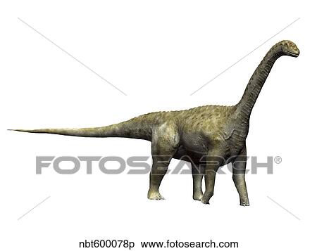 Camarasaurus dinosaur. View Large Illustration Stock Illustration - Camarasaurus dinosaur.. Fotosearch